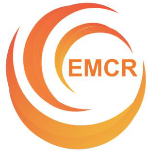 AMREP early-mid career research